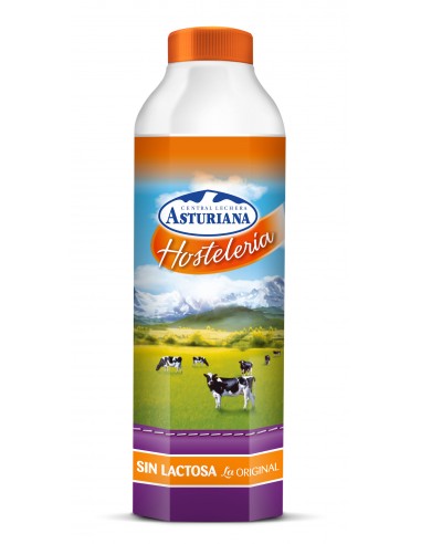 LECHE S/LACTOSA HOSTELERIA EVERO  1L.