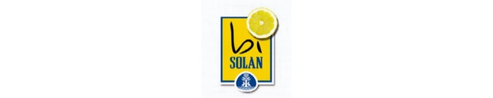 Bi Solan